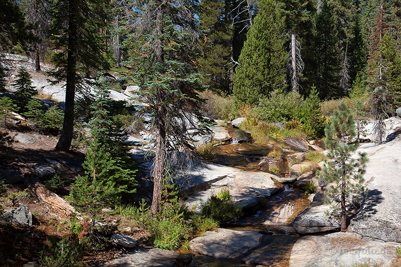 Bachlauf im Kings NP